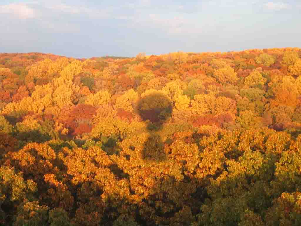 FALL COLORS !   Click to see VIDEO